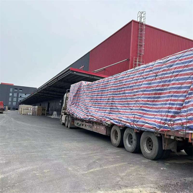 鼎城区渝中区物流：多元服务与运输线路探秘